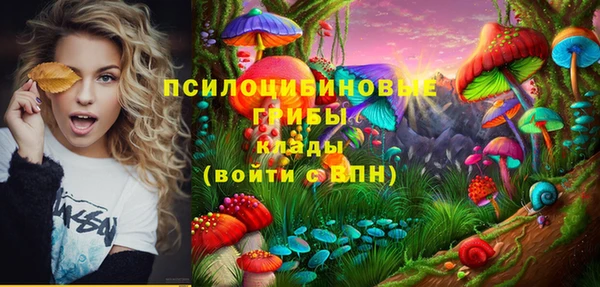 apvp Бородино