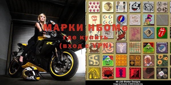 apvp Бородино
