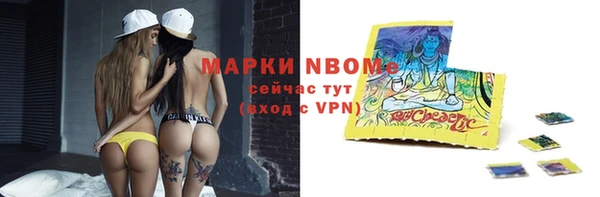 apvp Бородино