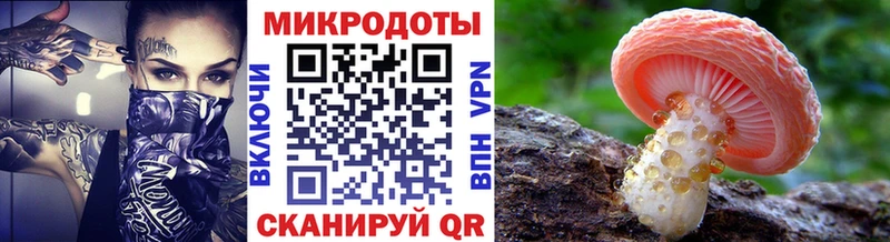 Псилоцибиновые грибы прущие грибы  Новое Девяткино 